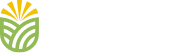 Podere Balla con gli Asini