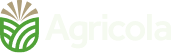 Podere Balla con gli Asini